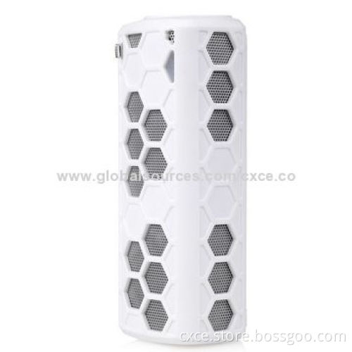 Bluetooth Dual Speaker with Portable MP3 and FM Function, BM09